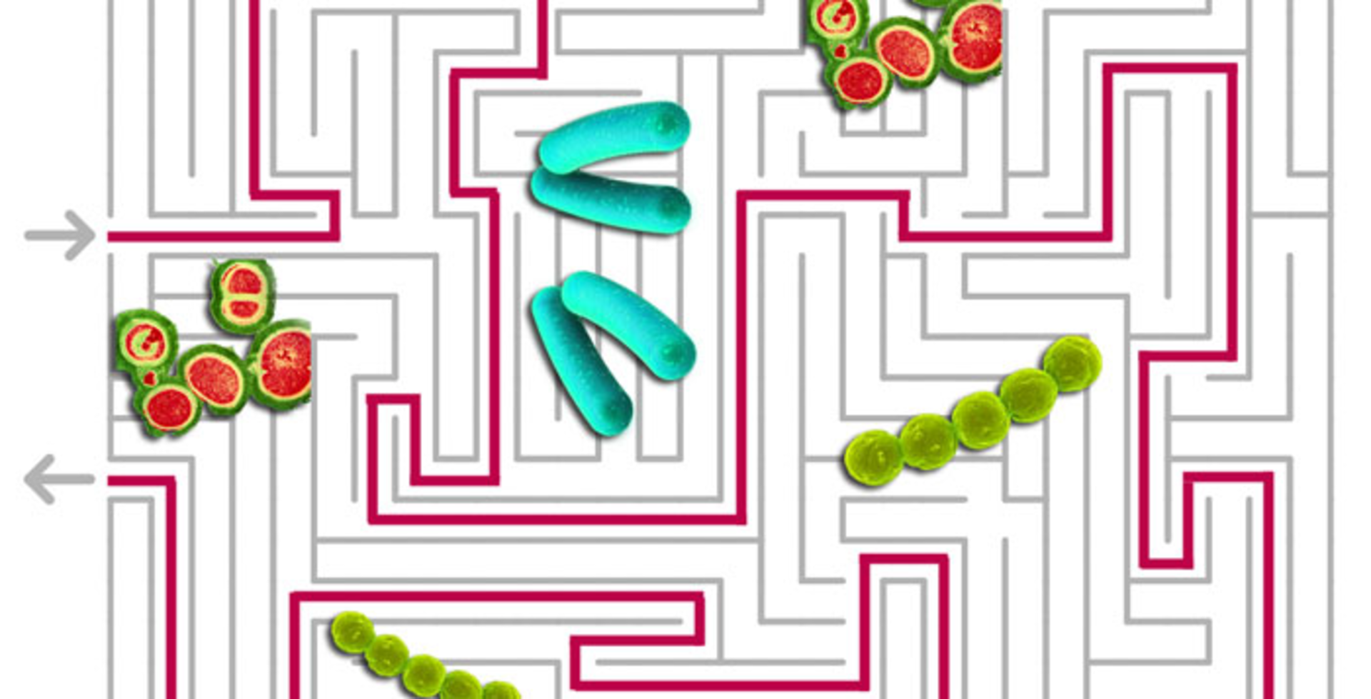 AUR graph by VigiLanz Corporation