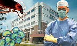 Ip Abington Ip Abington