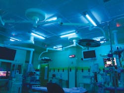 Or American Ultraviolet Or American Ultraviolet