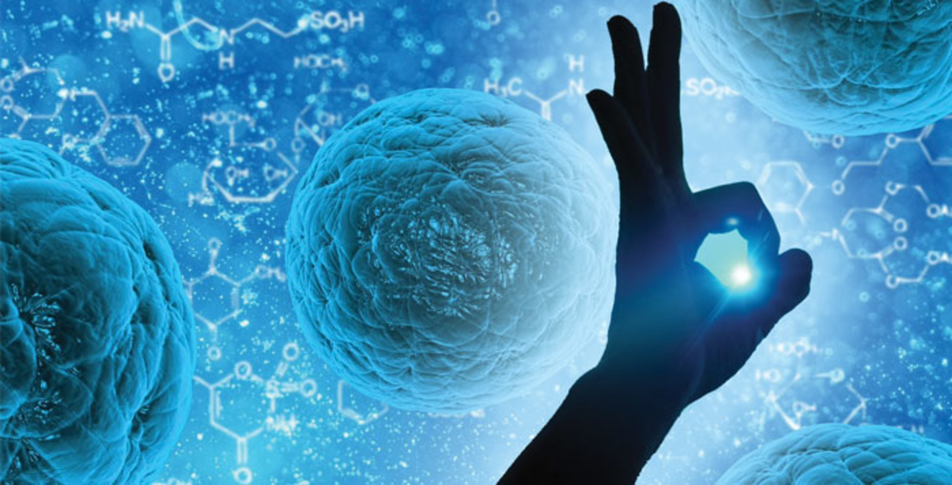 Hibiclens Antiseptic/Antimicrobial Skin Cleanser from Mölnlycke