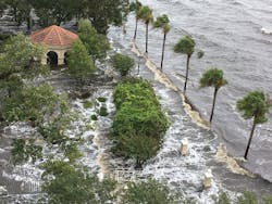 Alise Howlett Alise Howlett