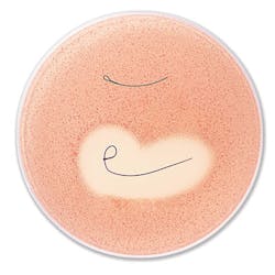 Ethicon’s antimicrobial sutures Ethicon’s antimicrobial sutures