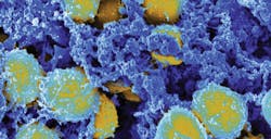 Tom Heymann Tom Heymann