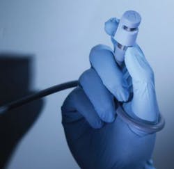 Or Glo Shield 300x291 Or Glo Shield 300x291