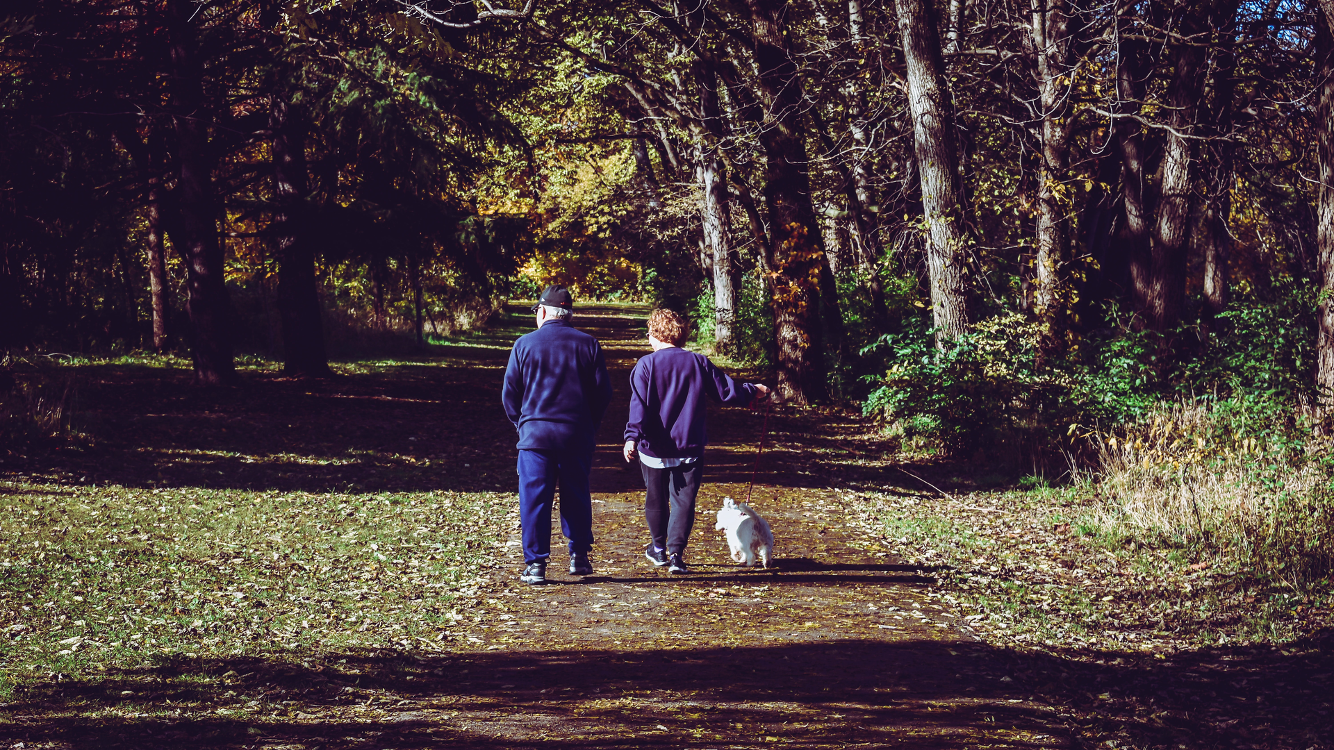 Dog Walking 5caf433526201