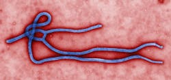 Ebola 5cb4c5816f51e Ebola 5cb4c5816f51e