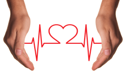 33 5ced675238187 33 5ced675238187