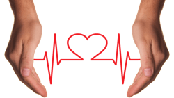 33 5ced675238187 33 5ced675238187