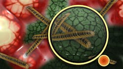 Gerd Altman 000 5cee884cf03d0 Gerd Altman 000 5cee884cf03d0