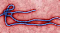 Ebola 5ced68feee0f8
