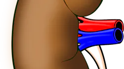 000008