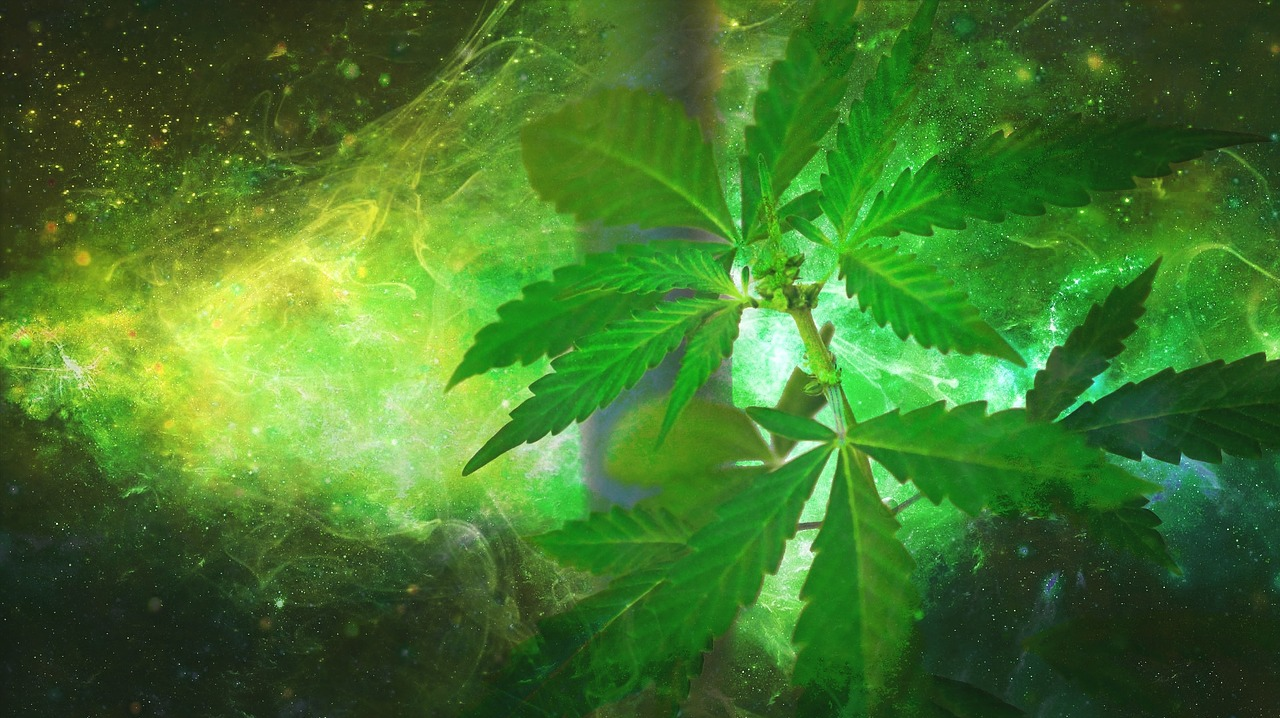 Image By Darwin Laganzon5 5d08ed22eca7b