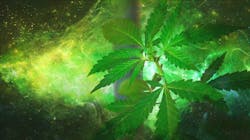 Image By Darwin Laganzon5 5d08ed22eca7b Image By Darwin Laganzon5 5d08ed22eca7b