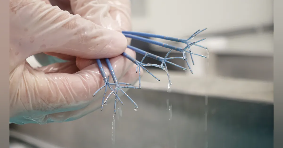 Pentary FDA grants clearance to reprocess the PENTARAY Nav Eco High-Density ...