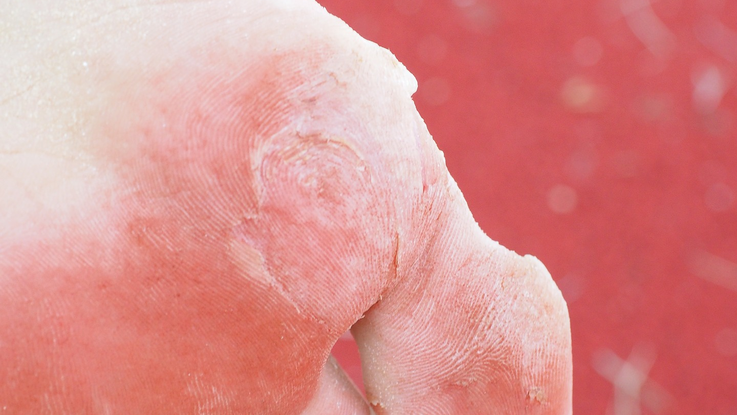 Photo By Hans Braxmeier 5cf91ffea349f