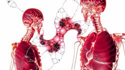 Cell 3089947 1920 5d07f6e499eaf Cell 3089947 1920 5d07f6e499eaf