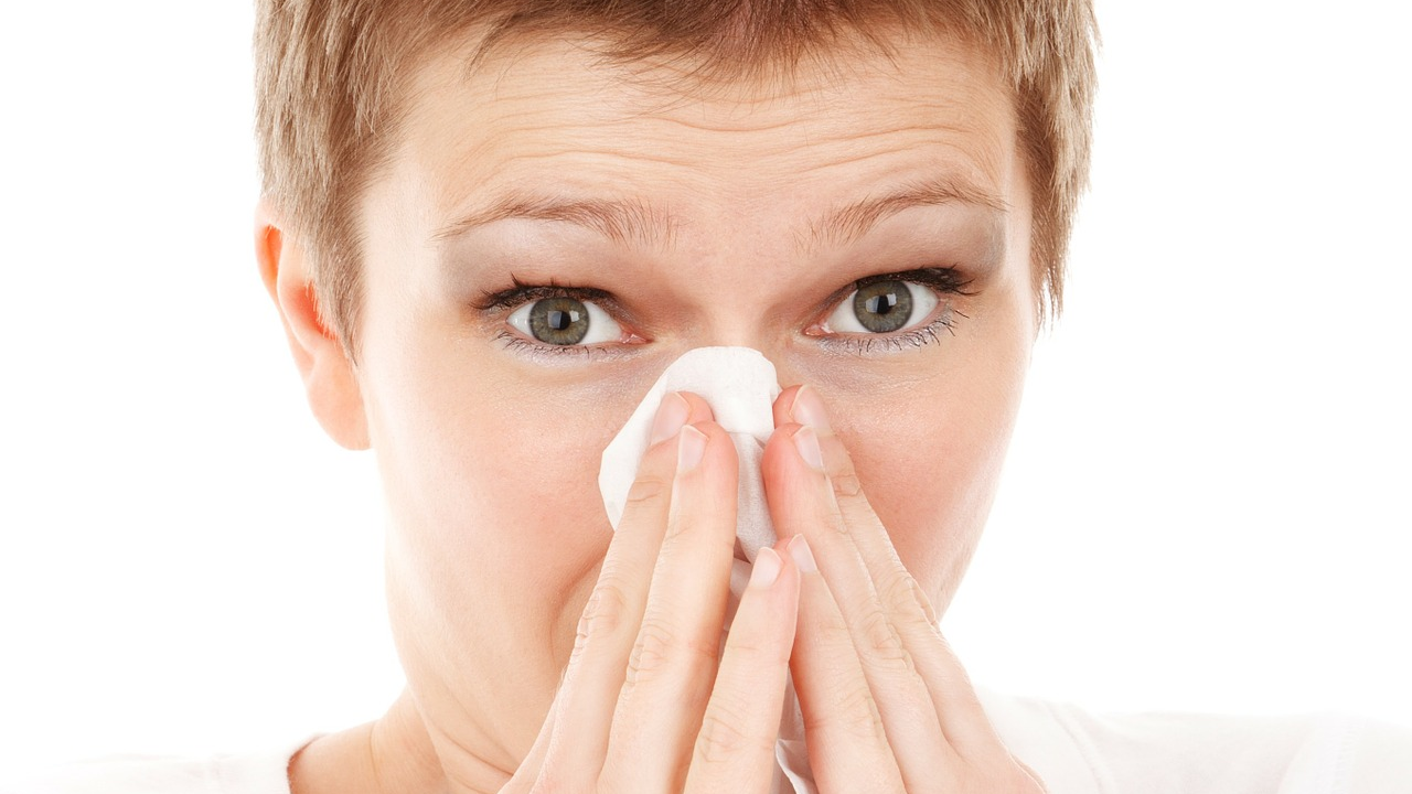 Sneeze 5d0a3c379ace8