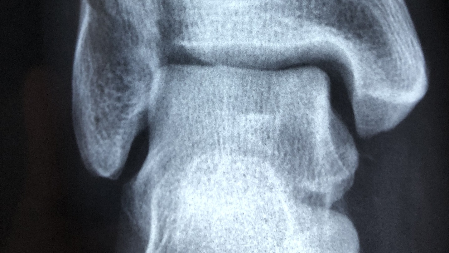 Photo By Dr Manuel Gonzalez Reyes 5d3f06baa76fa