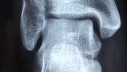 Photo By Dr Manuel Gonzalez Reyes 5d3f06baa76fa Photo By Dr Manuel Gonzalez Reyes 5d3f06baa76fa