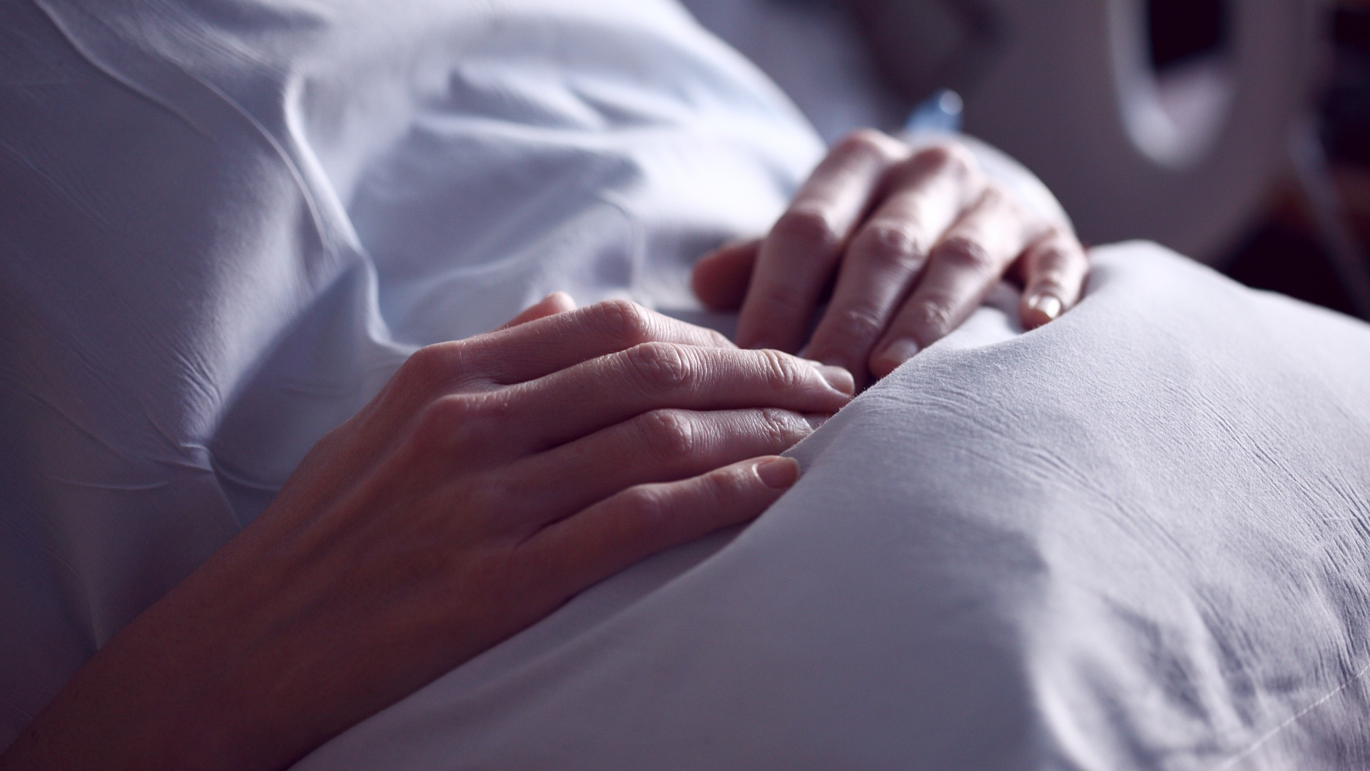 Photo By Sharon Mc Cutchen 5d28ea0c5336a