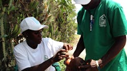 Photo Courtesy Rania A Tohme Md Mph Centers Dor D Isease Control And Prevention 5d24b5bc10cd8 Photo Courtesy Rania A Tohme Md Mph Centers Dor D Isease Control And Prevention 5d24b5bc10cd8