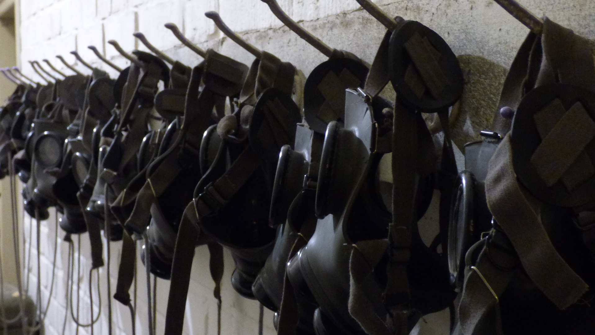 Tomasz Mikolajczyk 5d27417643416