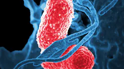 Bacteria 811861 1920