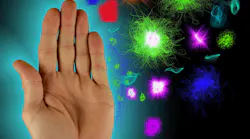 Immune System 1359197 1920