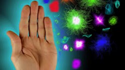 Immune System 1359197 1920 5d273fb08a995 Immune System 1359197 1920 5d273fb08a995