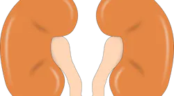 Kidney 147499 1280