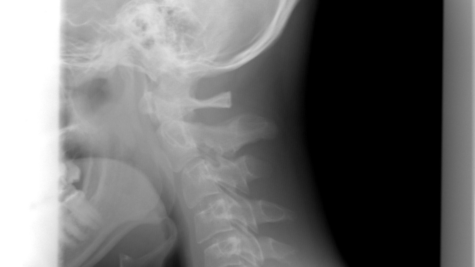 Hk Goldstein 5d4836f12f4e0