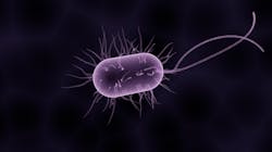 Illustration by Raman Oza Illustration by Raman Oza