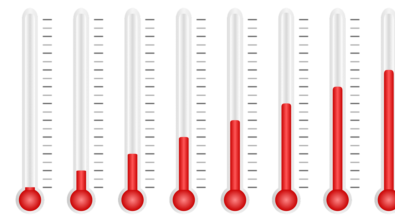 Illustration By Wynn Pointaux 5d4352326fd0b