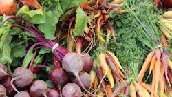 Beets 1584454 1920 5d4ae0c3de44b Beets 1584454 1920 5d4ae0c3de44b