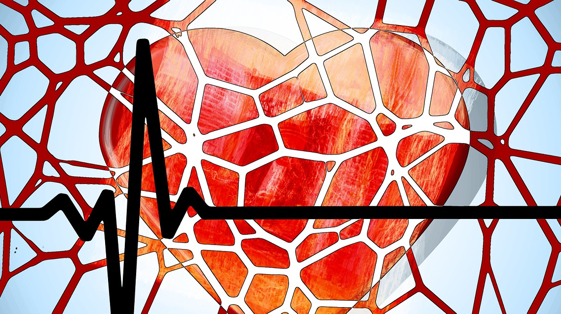 Heart 1222517 1920 5d67eed4ab1cf