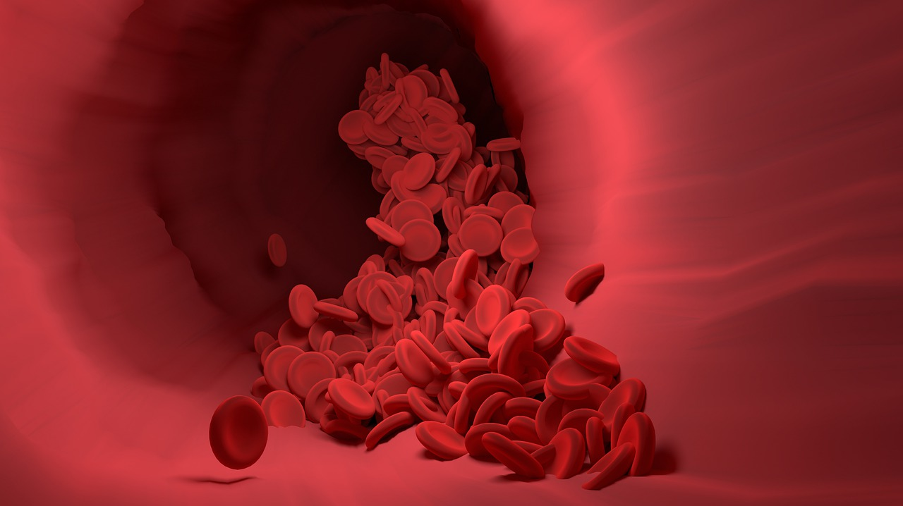 Red Blood Cell 4256710 1280 5d483480c5937