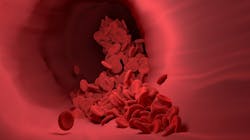 Red Blood Cell 4256710 1280 5d483480c5937 Red Blood Cell 4256710 1280 5d483480c5937