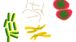 Bacteria 1450088 1920