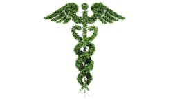 Sustainable Primary 5dcb2572d9c94 Sustainable Primary 5dcb2572d9c94