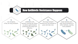 Nw Primary 5df298082a88b Nw Primary 5df298082a88b