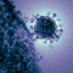 18114 Coronavirus From Cdc