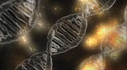Nih Nine Genes Congenital Heart Disputed Pic 1 29 20du Dna 1903318 1280 Pixabay