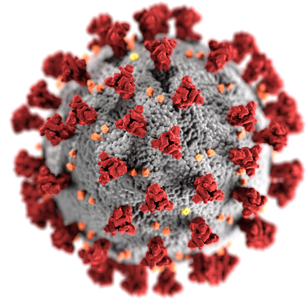 Cdc Develops New Code For Coronavirus Lab Test Pic 2 21 20du 23312 1 Cdc Phil 5e4ff945f261c