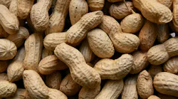 Fda First Peanut Allergy Drug Approved Pic 2 4 20du Peanuts 3823362 1920 Pixabay