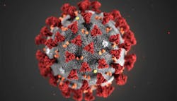 Ff Primary 5e4e97559184a Ff Primary 5e4e97559184a