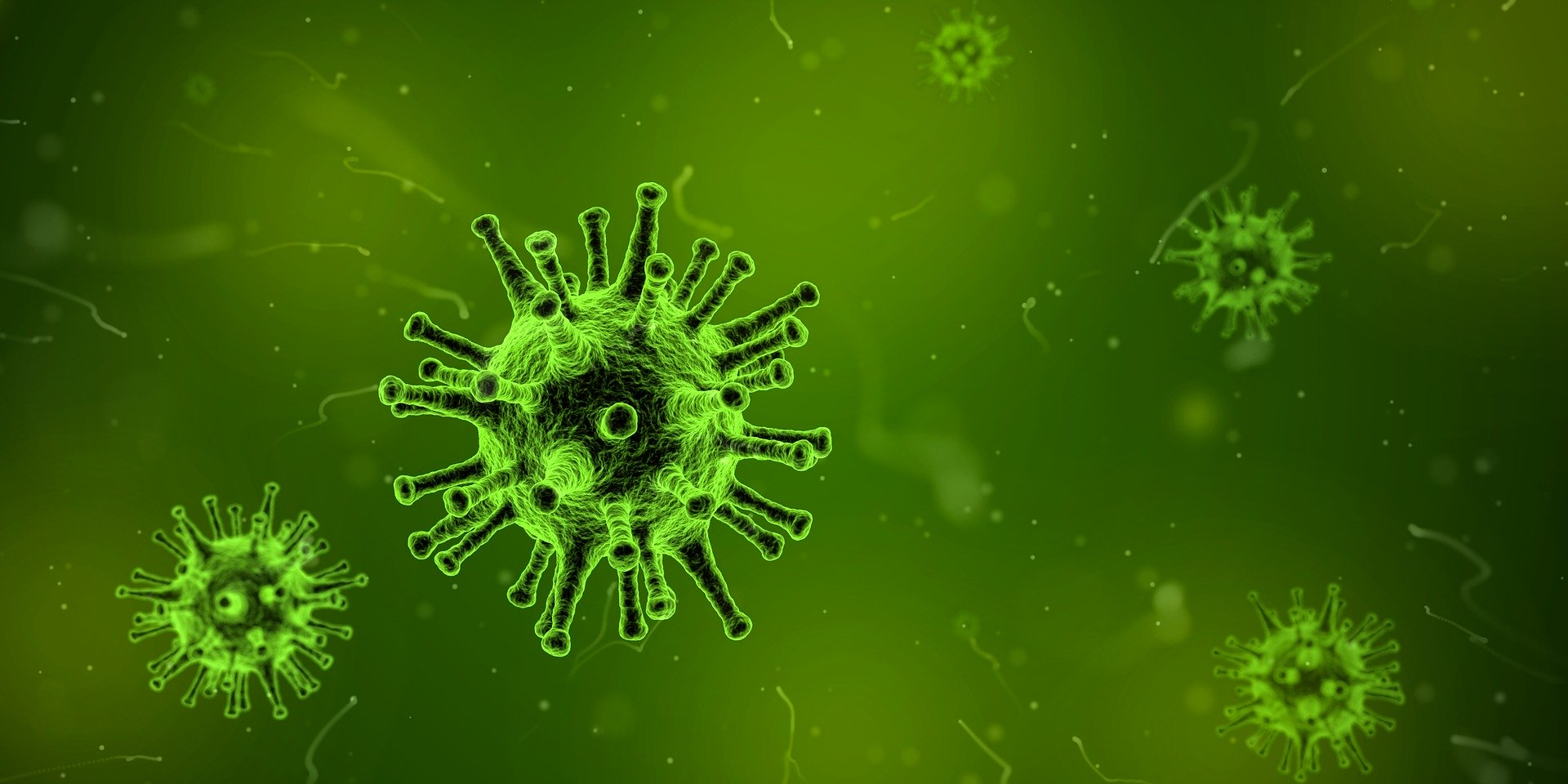 Mass General Hospital Researchers Identify New Universal Target For Antiviral Treatment Pic 2 18 20du Virus 1812092 1920 1 Pixabay 5e4c1021b0e9d
