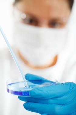 Ndri Survey Finds Americans Strongly Support Organ And Tissue Donation For Research Pic 2 20 20du Biology 220005 1280 Pixabay 5e4ea44f23996 Ndri Survey Finds Americans Strongly Support Organ And Tissue Donation For Research Pic 2 20 20du Biology 220005 1280 Pixabay 5e4ea44f23996