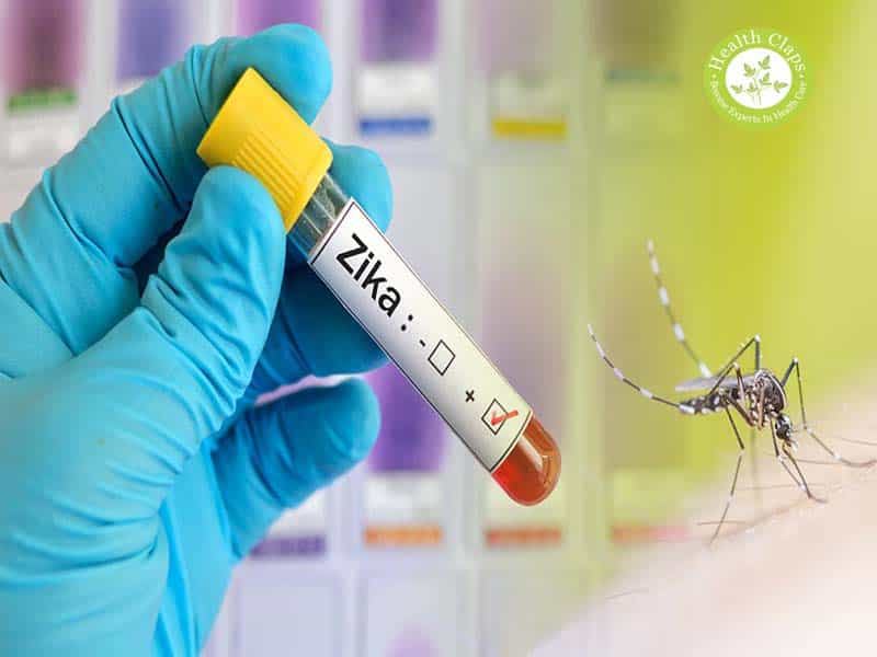 Wustl Researchers Examine Zika S Most Harmful Brain Damage With Brazilian Newborns Pic 2 19 20du 25803060023 7051707569 O Flickr Fda 5e4d5f9fc8f13