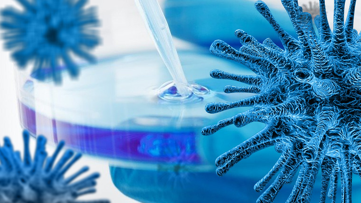 La Jolla Institute For Immunology To Host Coronavirus Immunotherapy Clearinghouse Pic 3 31 20du Vaccine 4946479 1920 Pixabay 5e8356619d828