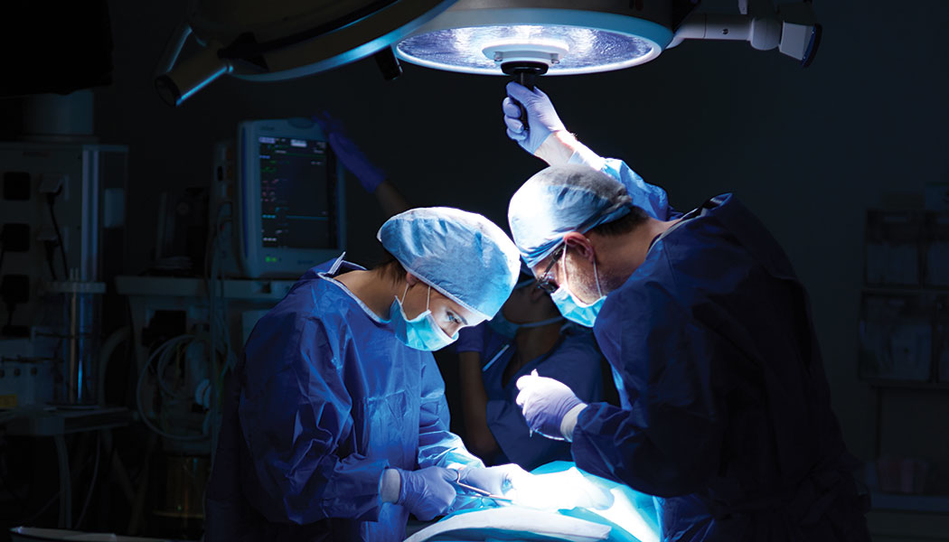 Orbg Primary 5e6f86edb6f64